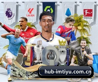 hub-imtiyu.com.cn APP
